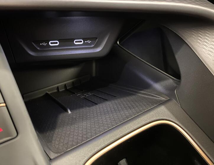 Cupra Terramar 20
