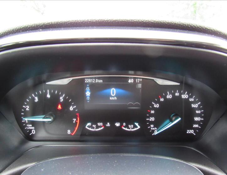 Ford Fiesta 13
