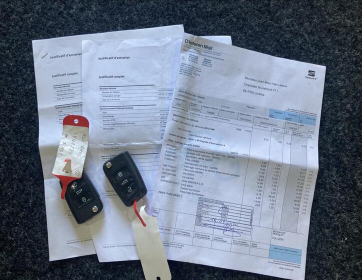 Seat Ateca 43