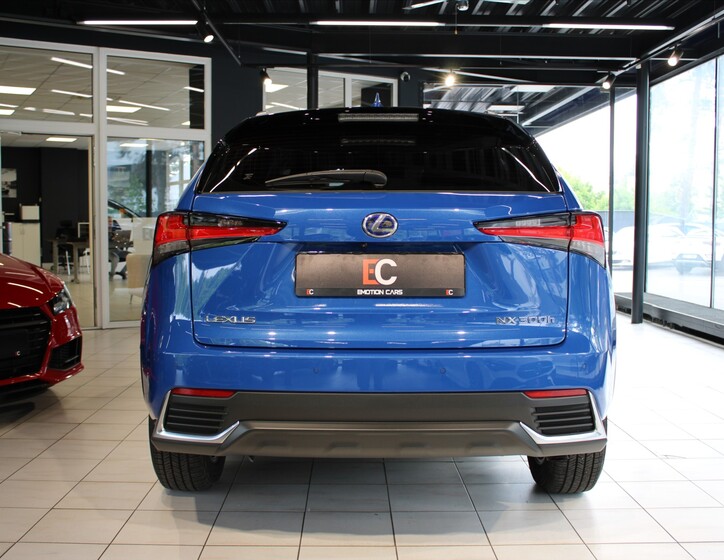 Lexus NX 300h 5