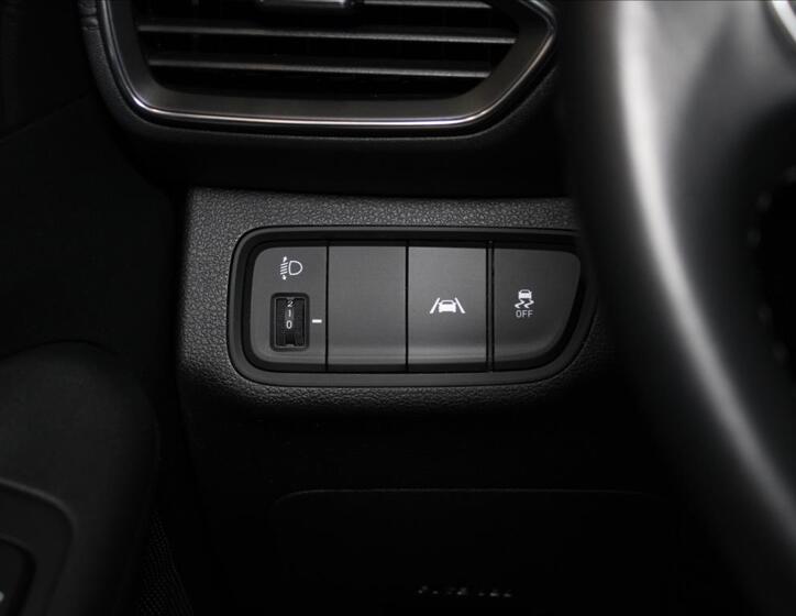 Hyundai Santa Fe 19