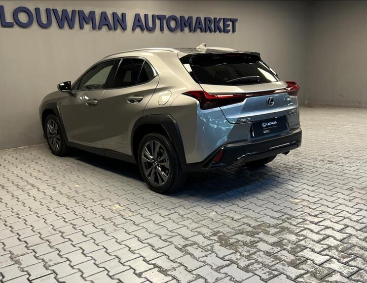 Lexus UX 300h 12