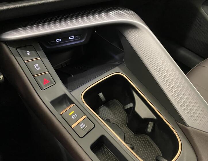 Cupra Terramar 21