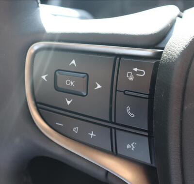 Lexus UX 250h 25