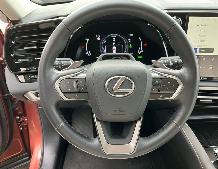 Lexus RX 450 21