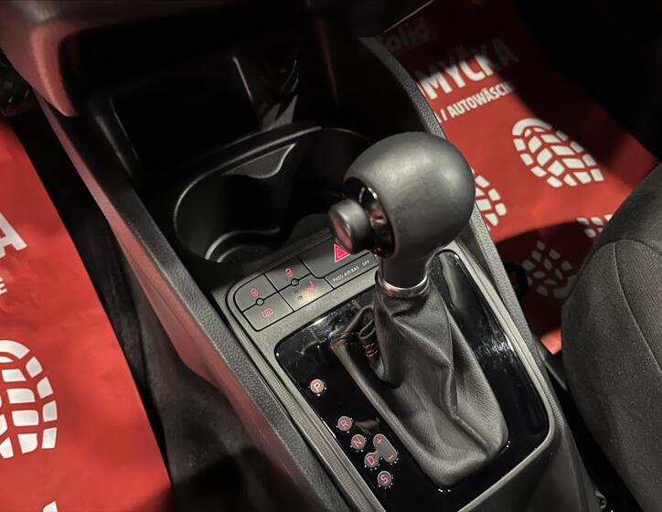 Seat Ibiza 19