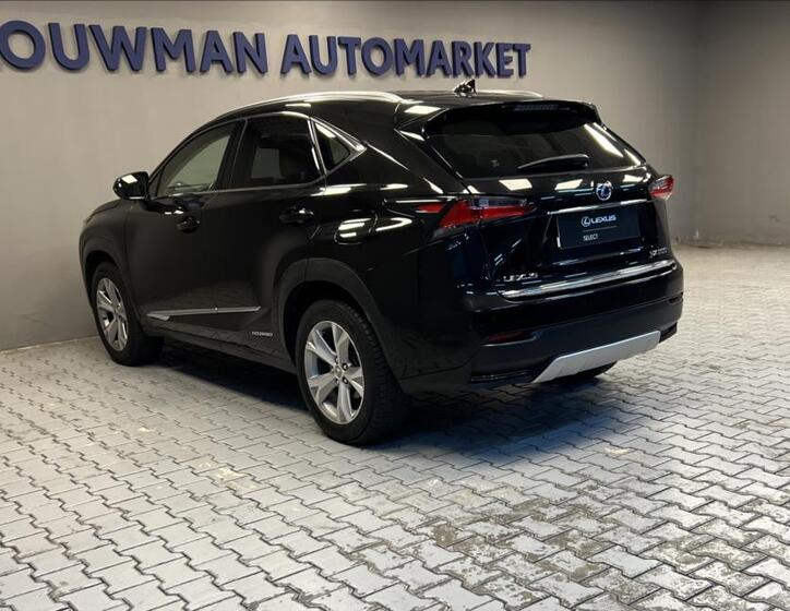 Lexus NX 300h 13