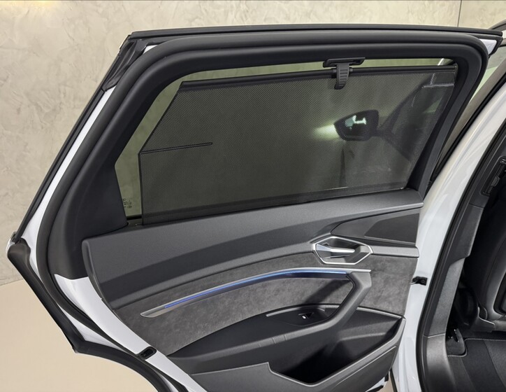 Audi e-tron 18