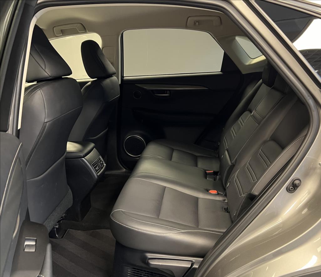 Lexus NX 300h