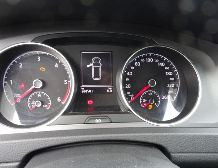Volkswagen Golf 19