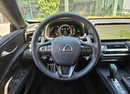 Lexus LC 500 19