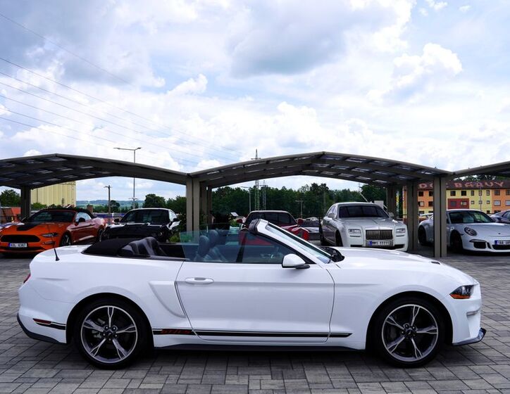 Ford Mustang 14