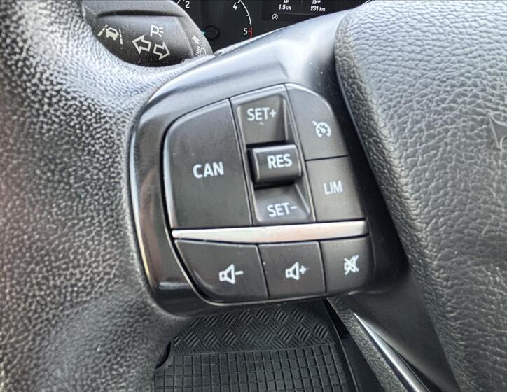 Ford Transit 19