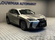 Lexus UX 300h 11