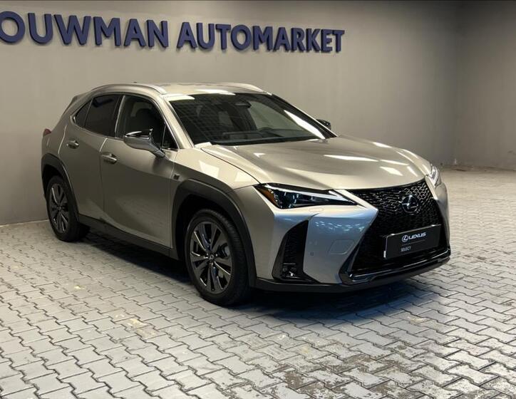 Lexus UX 300h 11