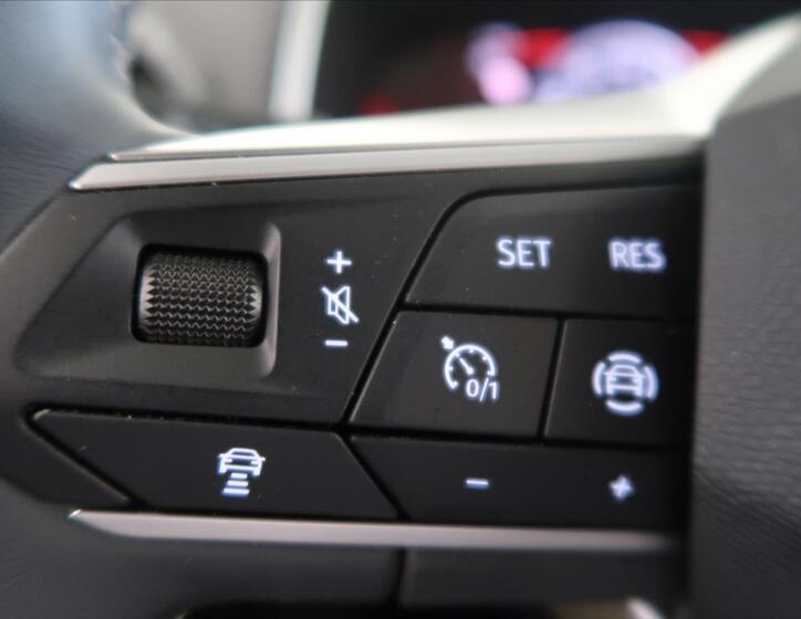 Seat Tarraco 33