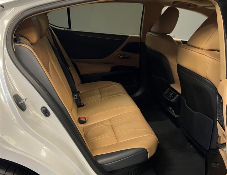 Lexus ES 300h 10