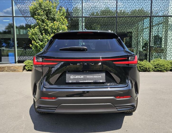 Lexus NX 450h plus 11