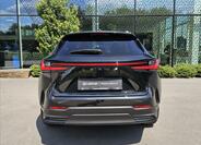 Lexus NX 450h plus 11