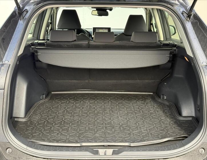 Toyota RAV4 20