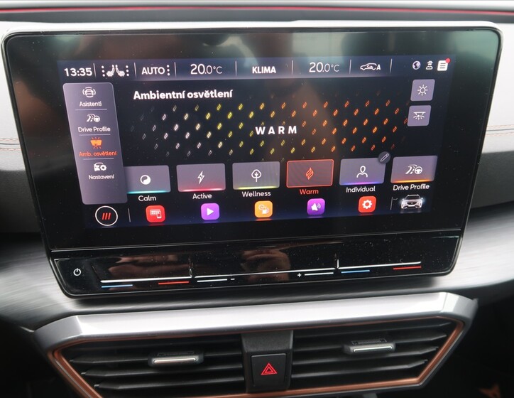 Cupra Formentor 43