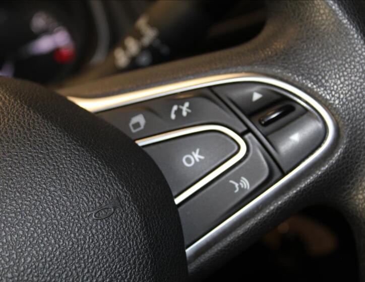 Renault Mégane 24
