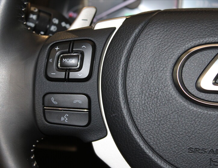 Lexus NX 300h 12