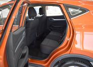 MG ZS 11