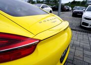 Porsche Cayman 14