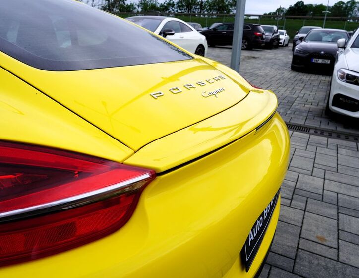 Porsche Cayman 14