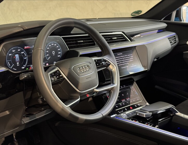 Audi e-tron 19