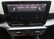 Cupra Formentor 53