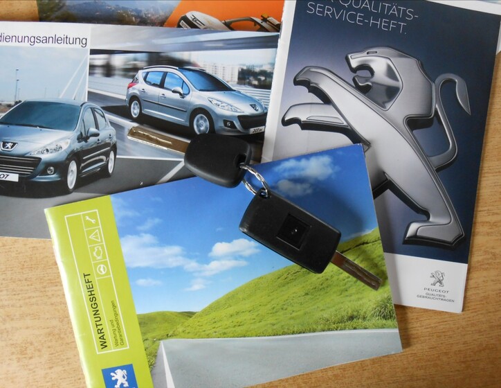 Peugeot 207 21