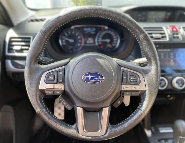 Subaru Forester 15