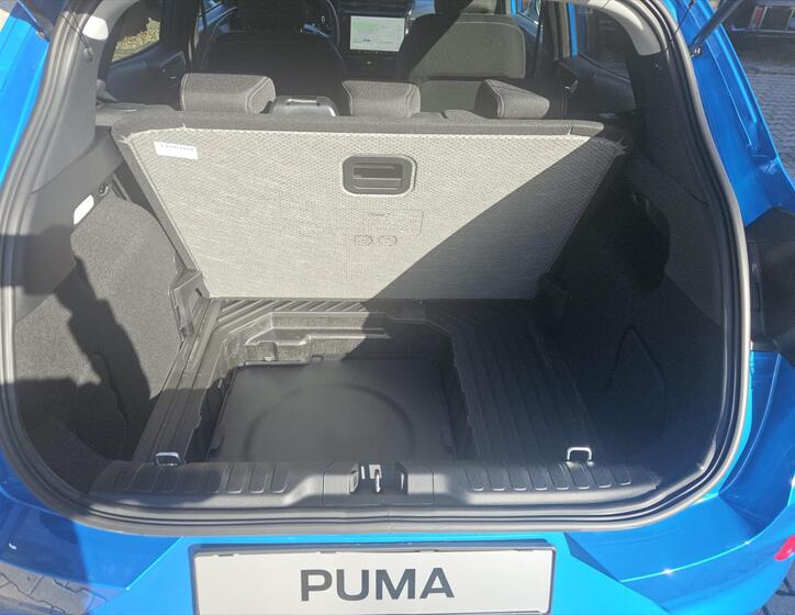 Ford Puma 14