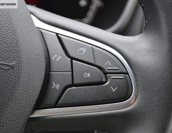 Renault Mégane 33
