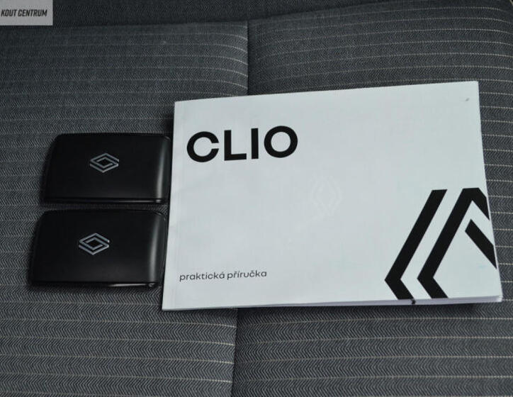 Renault Clio 48