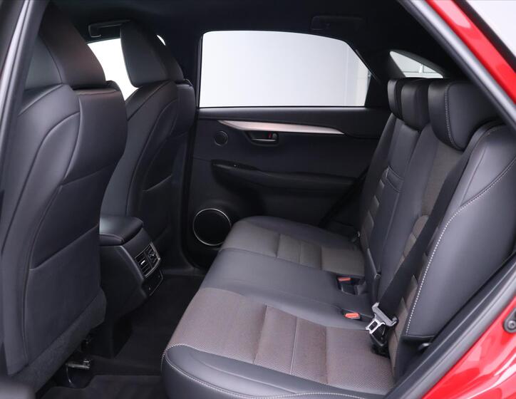 Lexus NX 300h 14