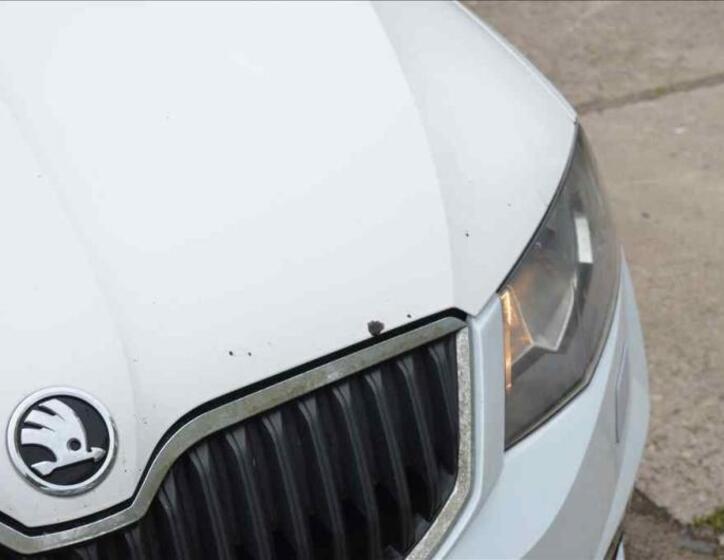 Škoda Octavia 9