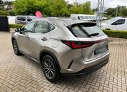 Lexus NX 350h 4