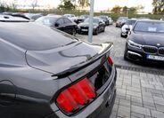Ford Mustang 38