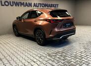 Lexus NX 450h plus 13