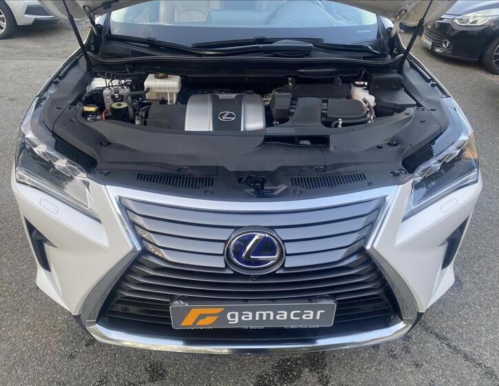 Lexus RX 13