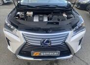 Lexus RX 13