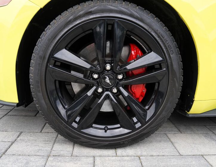 Ford Mustang 14