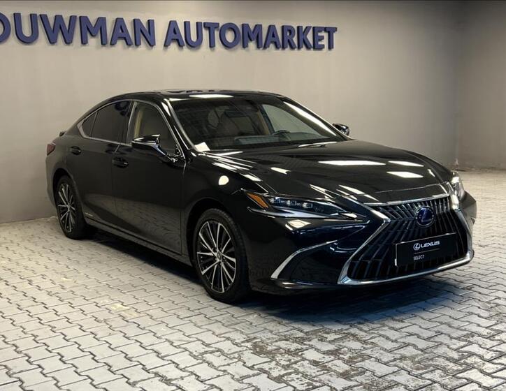 Lexus ES 300h 11