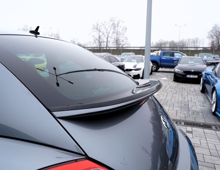 Volkswagen Beetle 15