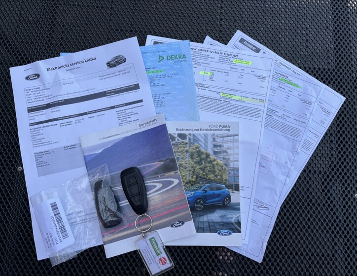 Ford Puma 44
