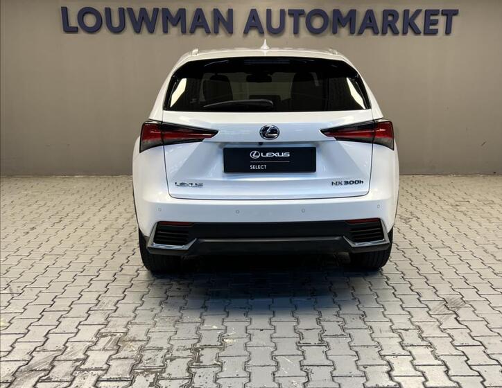 Lexus NX 300h 12