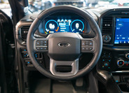Ford F-150 22